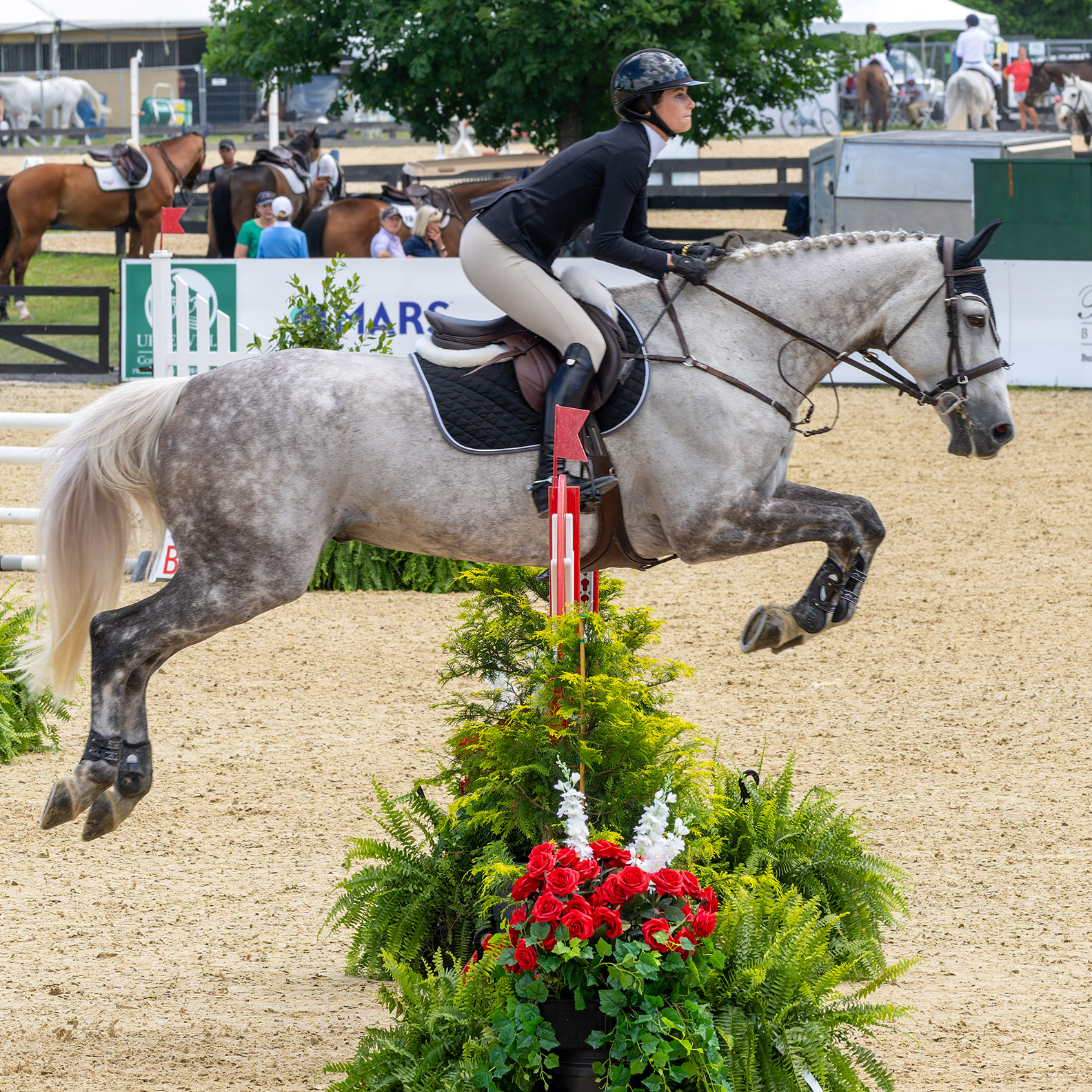 Upperville Colt & Horse Show 2024